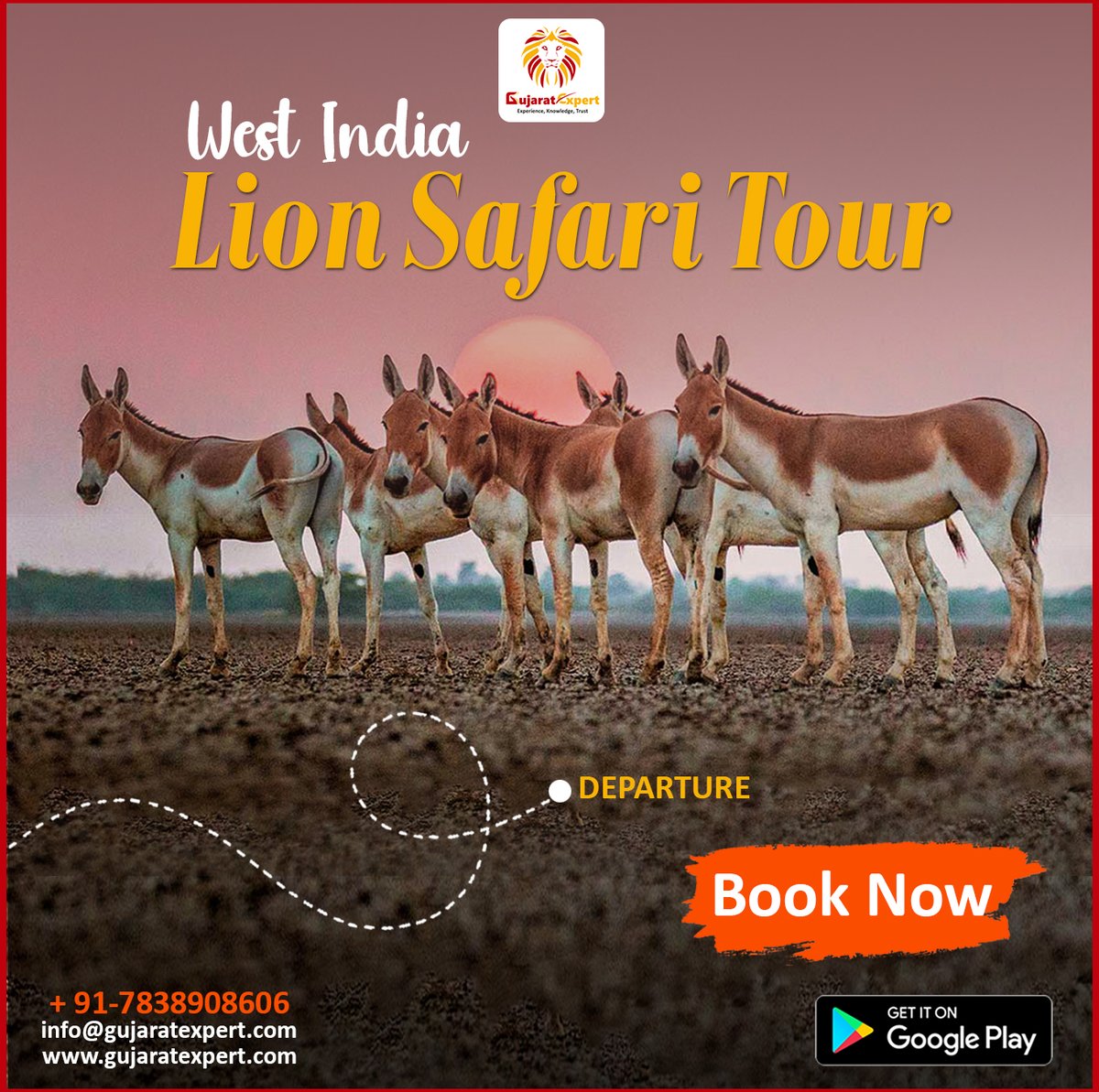 GujaratExpert's tweet photo. Embark on an unforgettable journey into the majestic realm of the West India Lion. 
Contact  7838908606 for bookings.
#gujaratexpert #gujarat #westindialionsafari #wildernessadventure #natureencounters #roarofthejungle #safariexperience #wildlifephotography #explorethewild https://t.co/Oa3qFEAvmp