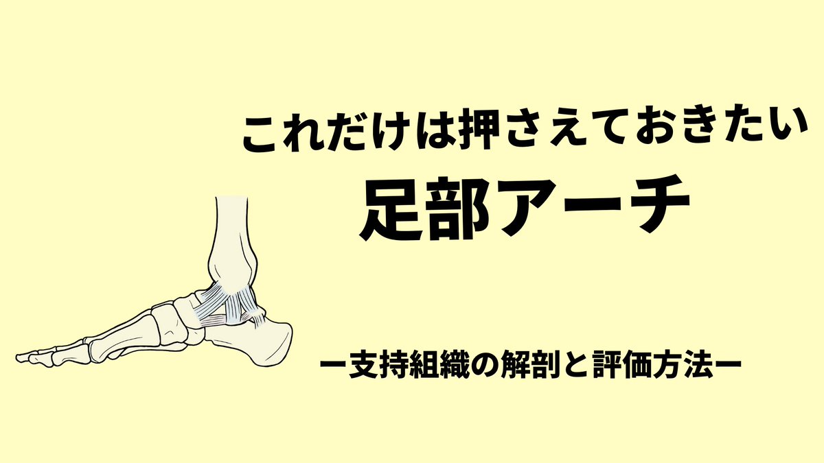 Rk_note14's tweet photo. 【足部アーチ】

「内側縦アーチが低下している…」

なんて臨床の中で聞くことは非常に多いです

どこを見て判断するのか？どのような評価方法があるのか？複数の評価方法で見ておくことが正確性や信頼性を増すことになります

↓さらに知りたい人はこちら
https://t.co/bQxZrRHaGE https://t.co/G1L8hRO3S8