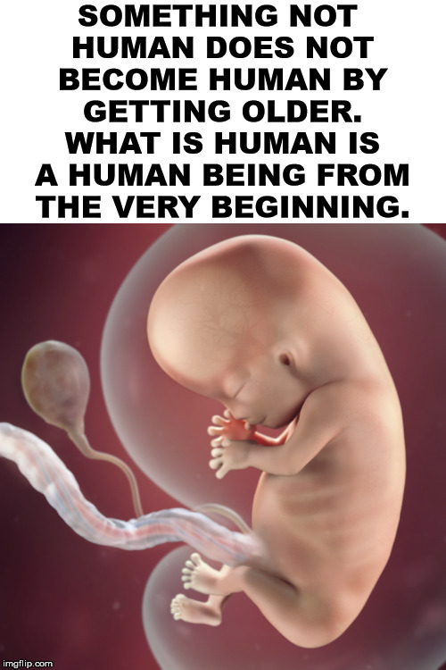 MurdoMMK's tweet photo. @DanikaF28100296 @HuxTweets @BPAS1968 Your pulling the mothers life in danger card etc desperate, you know that is very rare and huge majority of pregnancies where the baby is wanted will be born no problems, I don't need to be female to hate abortion, unbelievable, also showing the anger another typical response. https://t.co/0LgsBDY5bm