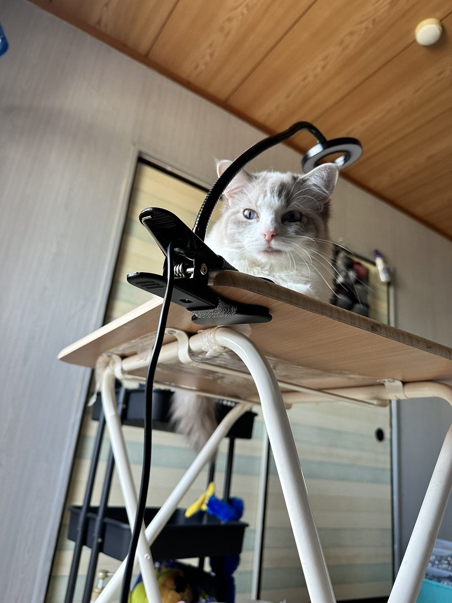 ♡ひなちゃん♡ (@hinacha0120) / Posts / X