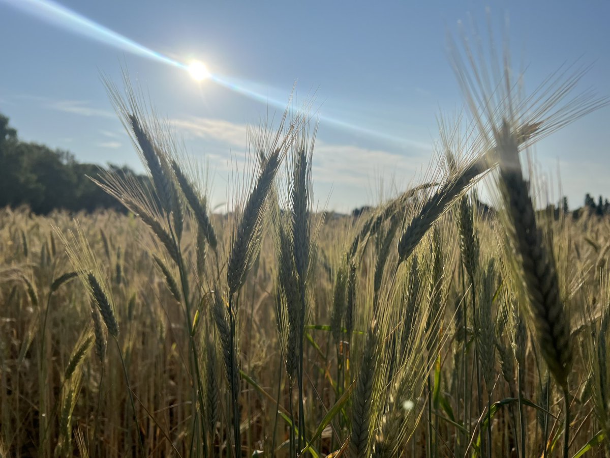 Bonjourrrrrrjjjj #sansfiltre