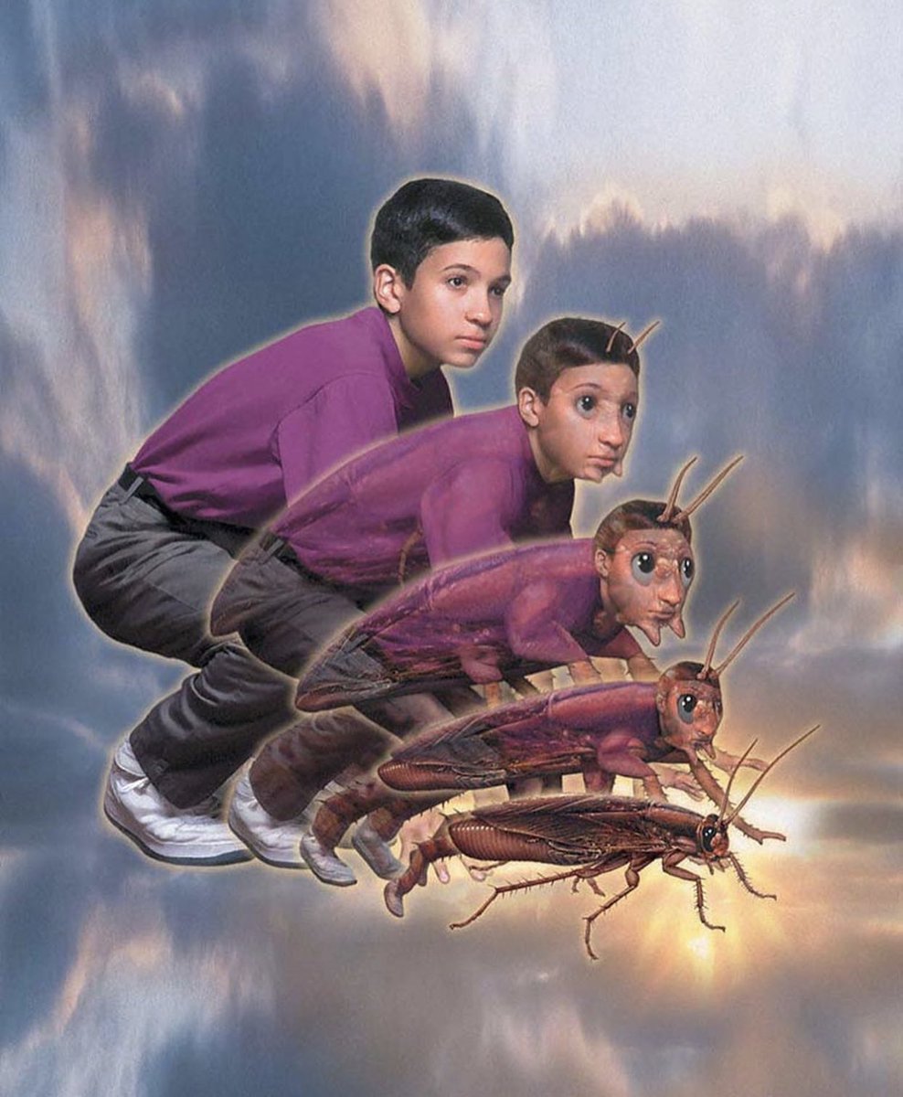 AuxGod_'s tweet photo. ‘Animorphs’ Book Covers (1996) https://t.co/NvJ47zNYrF