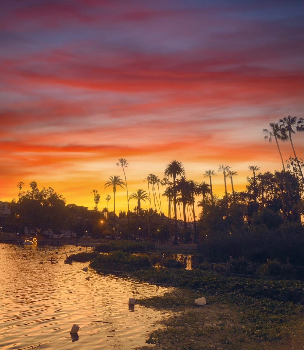 laurajauld's tweet image. Spectacular Sunset🌅💛❤️

#photography #sunsetphotography #lakesunset #evening #nightfall