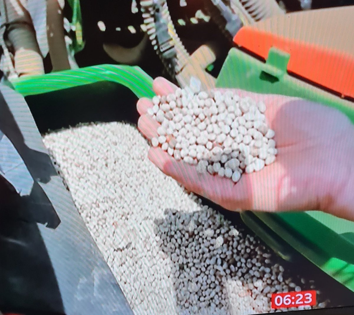 no1sunkfarmer's tweet photo. Imagine choking on your coffee at 06:25 because Wardy appears on @BBCBreakfast Well done #OldBean 👏 great story on the hericot beans being grown #bakedbeans growing in Lincolnshire. @wheat_daddy https://t.co/WLbWAk8xRd