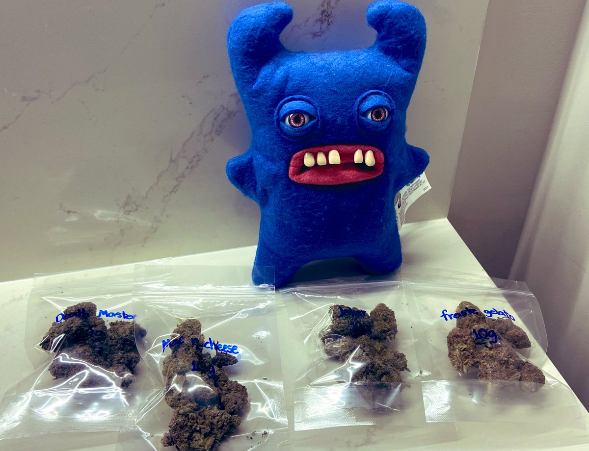 SlothMetalFace's tweet image. Plans for today: need to test 4 strains of weed from my pals farm:
1.Joker
2.Death Master
3.Froste gelato 
4.Mac’n’Cheese