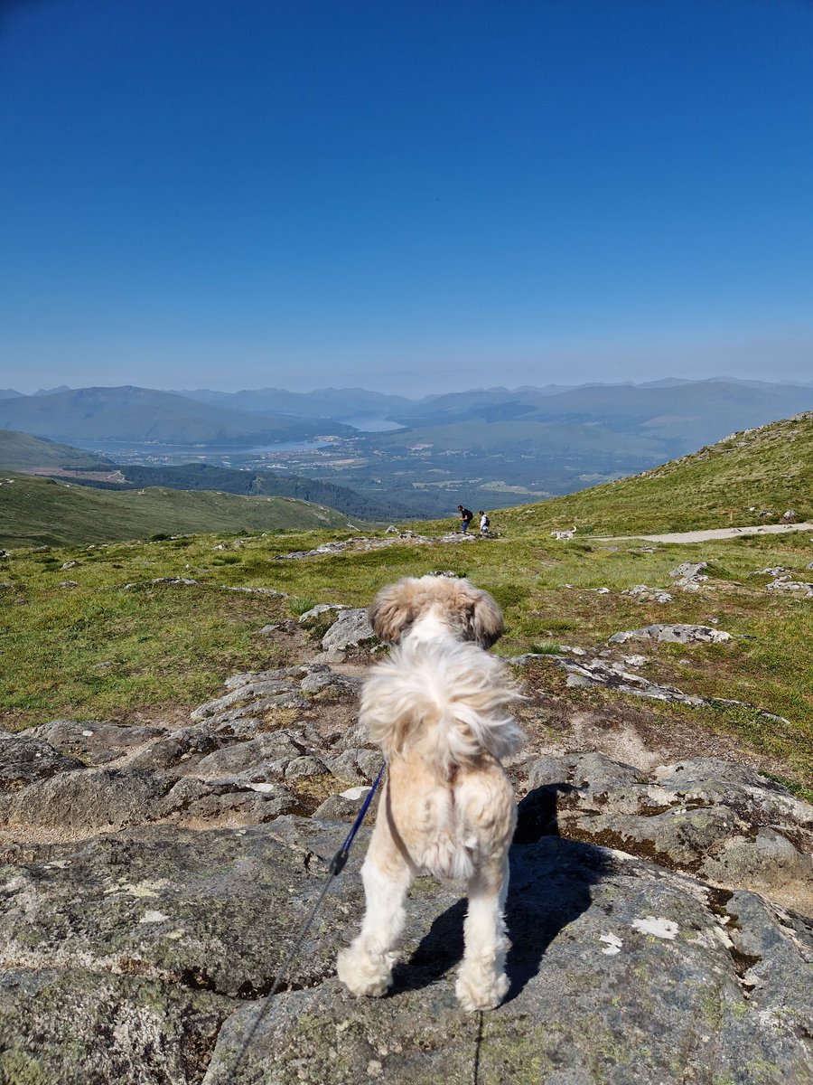 Great day out and about near Fort William