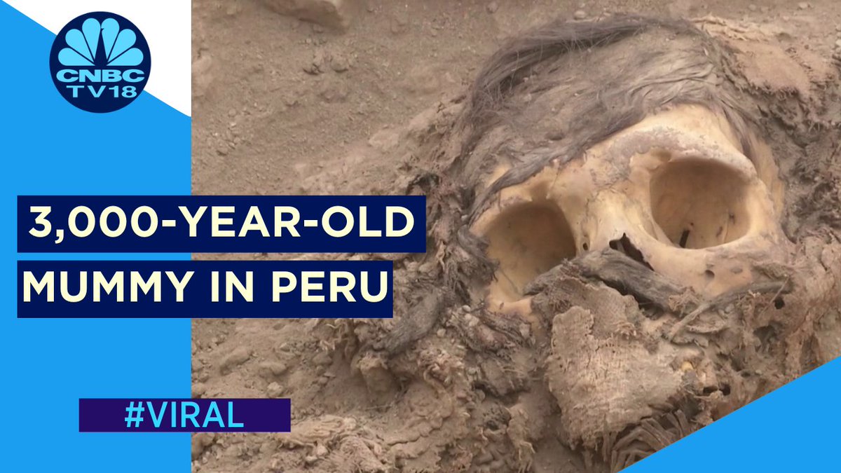 #WATCH | Peruvian researchers uncovered a roughly 3,000-year-old mummy in the capital city of Lima, Peru. This is the most recent find in the Andean nation, which dates back to pre-Hispanic times. Take a look

#Mummy #3000YearOldMummy #Peru #PreHispanic #Skull #Manchay #Preserved https://t.co/GV6iqmTWLg