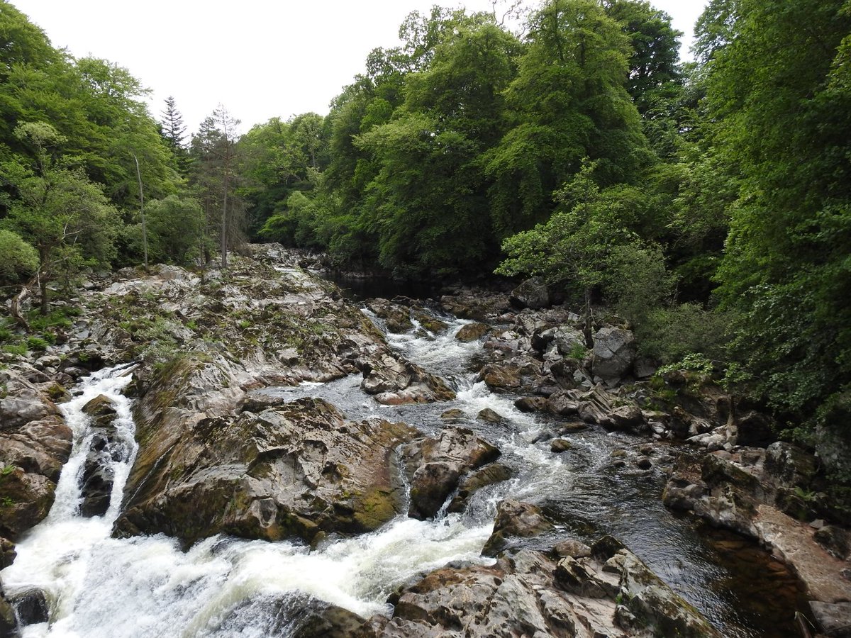ianebbage1's tweet photo. A spectacular (and refreshing) sight on a hot day #FallsofFeugh #Banchory #Aberdeenshire #FingerpostFriday @FingerpostFri https://t.co/DVdkx2ny8W