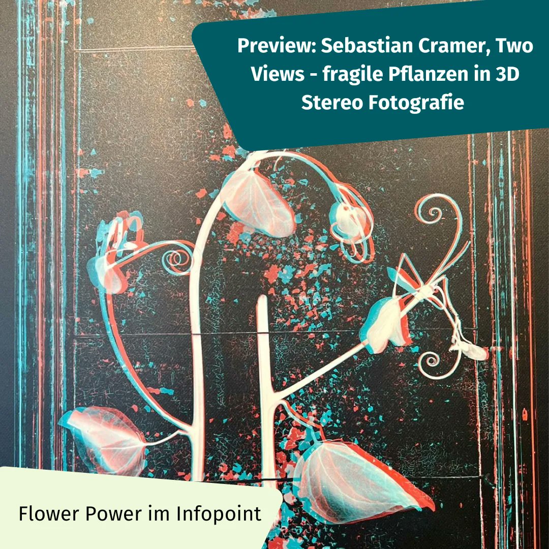 Museen in Bayern tweet media