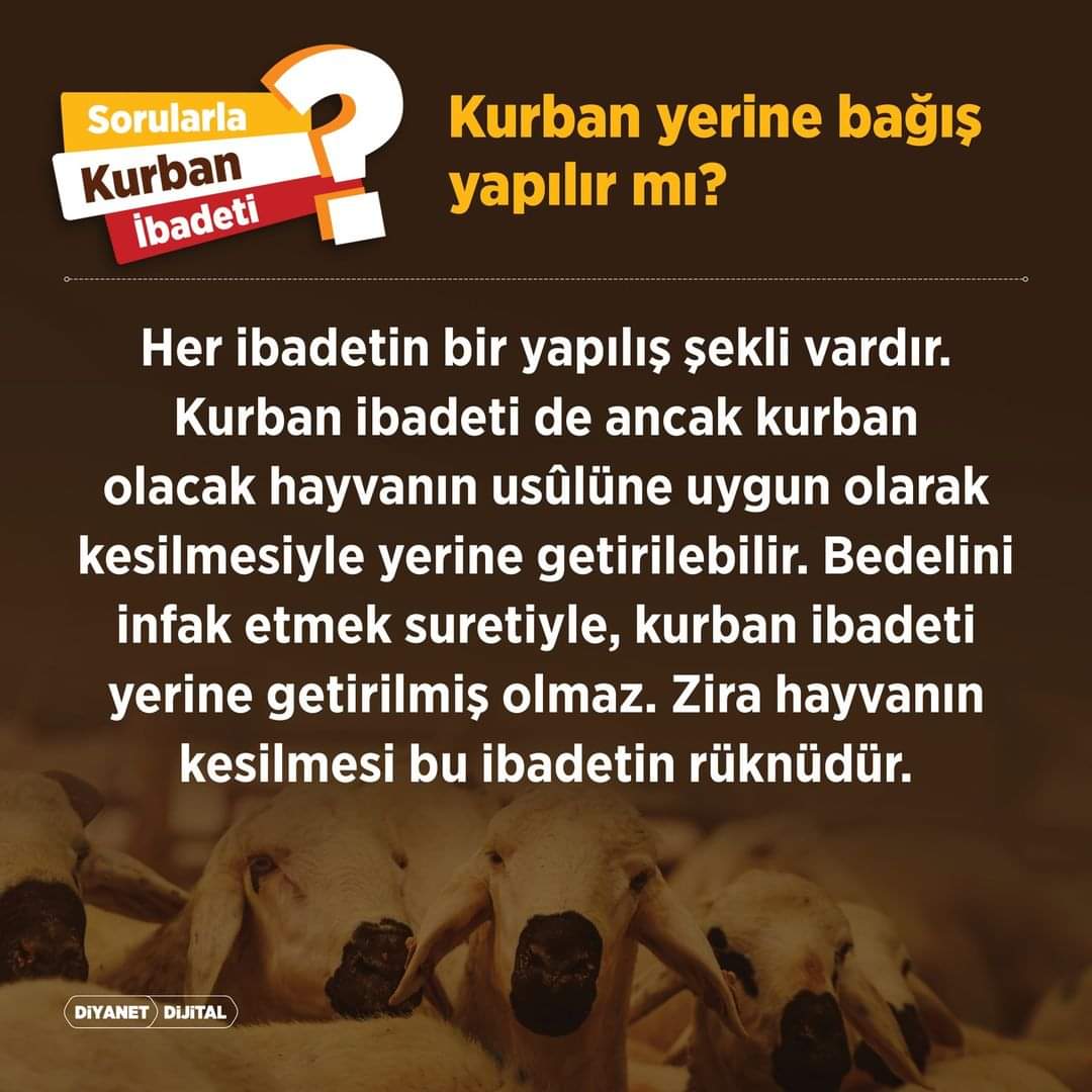 BaskilMuftulugu's tweet photo. https://t.co/MkgQHolTLZ