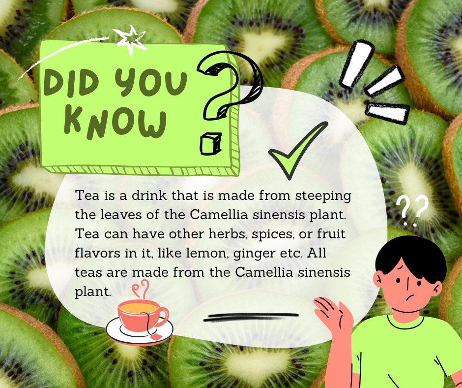 nozietea's tweet photo. Facts Friday!
Tea is a good idea and Herbal Teas are known for having lots of healing properties!

At Nozie Tea, we have varieties of Herbal Teas you should
try from!✅

Just send a DM today or visit our website to ORDER https://t.co/dESUaSFQX1

Delivery is Nationwide 🚚📦 https://t.co/yPVFEaHDda