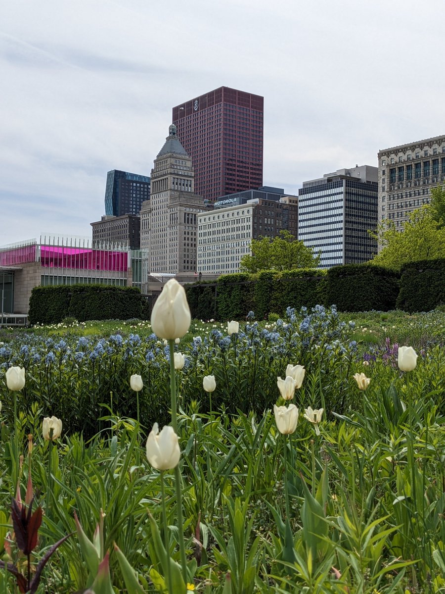 clockworkcrypt's tweet image. If you want a proper life update, I moved to Chicago about a month ago ✨