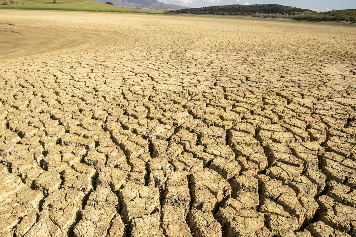 ❝İklim konusunda hızlı ve gözlerimiz açık bir şekilde felakete gidiyoruz. Artık uyanma ve harekete geçme zamanı❞

❗️Birleşmiş Milletler Genel Sekreteri Guterres'ten uyarı

#Yeşilhat🌱

aa.com.tr/tr/yesilhat/ik…