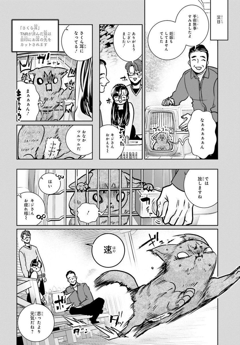 一匹の母猫から始まった命のリレー。
ASUKA7月号から新連載!

(4/7) 