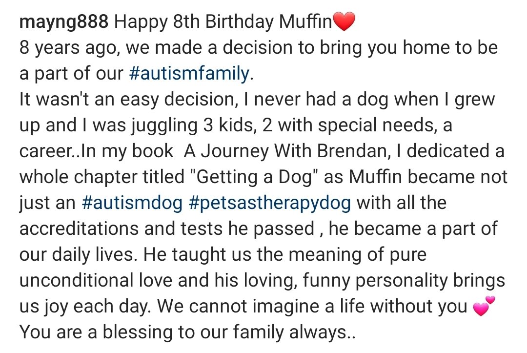 Happy 8th Birthday M❤️🐶
#autismdog #petsastherapy #dogsarefamily