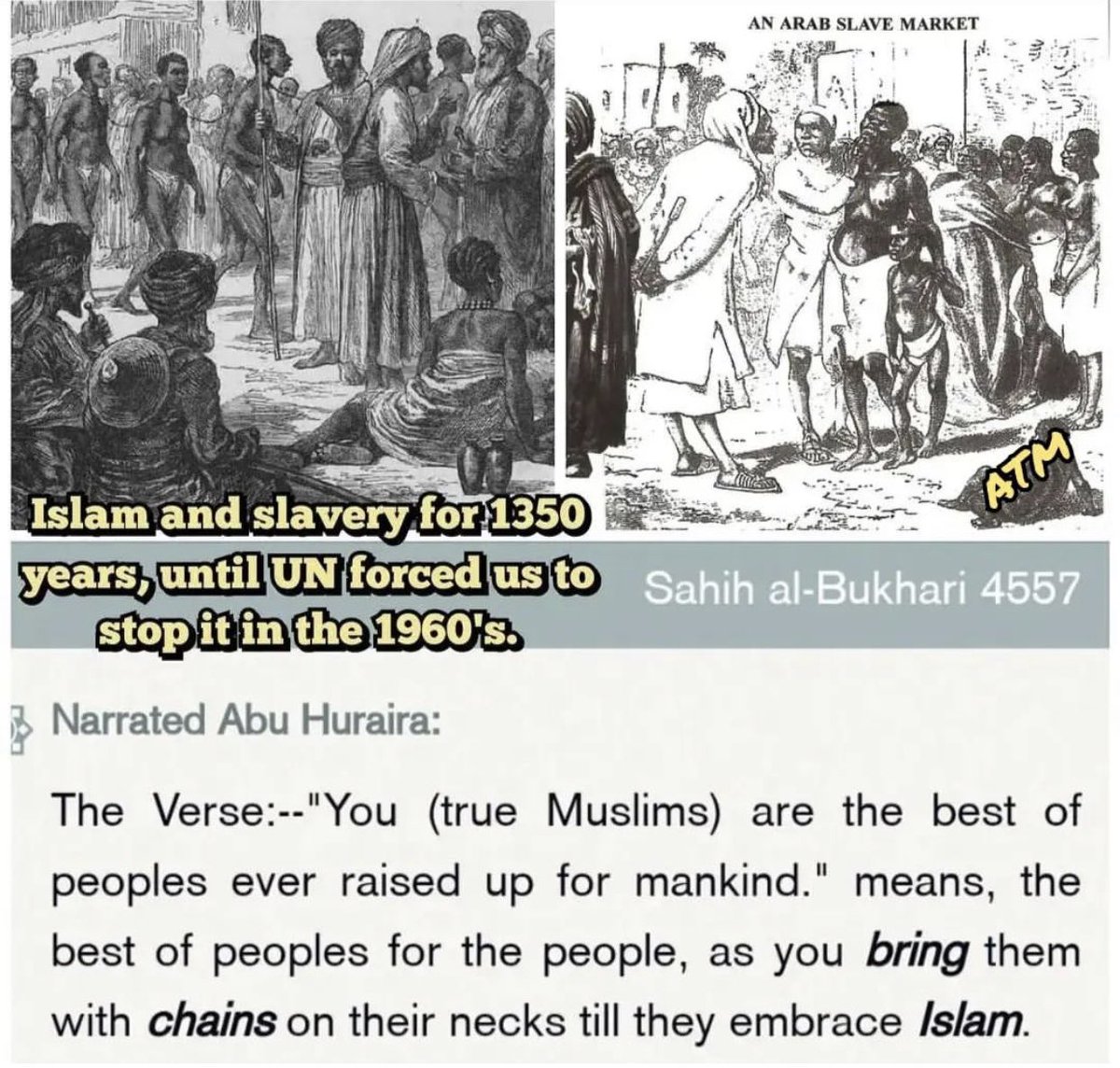 Ex Muslims Of Norway On Twitter I Challenge Anyone Who Can Give Me A Ex Muslims Of Norway On Twitter I Challenge Anyone Who Can Give Me A