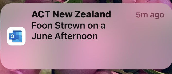 Claire Trevett (@ctrevettnzh) on Twitter photo 