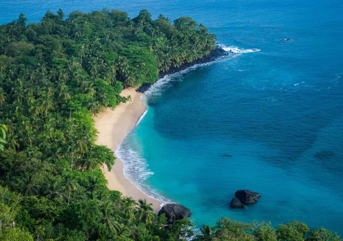 wnjohnso's tweet photo. Principe Island is one of the few places left on Earth where Gray Parrots can thrive and not worry about loss of habitat. This is thanks to the island's amazing conservation! #39canimals https://t.co/LxCnra6qa2