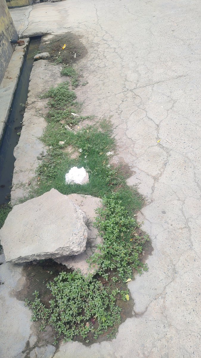 gamerscaar's tweet photo. This is the serious issue of our village that was located in south west DELHI Najafgarh Paprawat Village all paprawat roads are total damaged by @MCD_Delhi please resolve our problem as soon as possible @PMOIndia @LtGovDelhi @BJP4Delhi @ArvindKejriwal @BJP4Abhijeet @CMODelhi https://t.co/HrX0fQRqdt