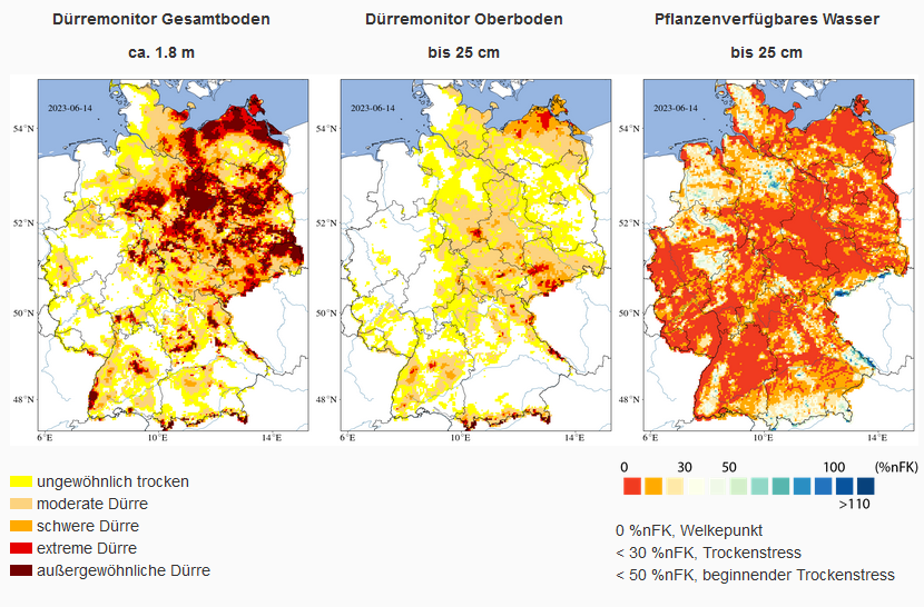 IWR Online tweet media