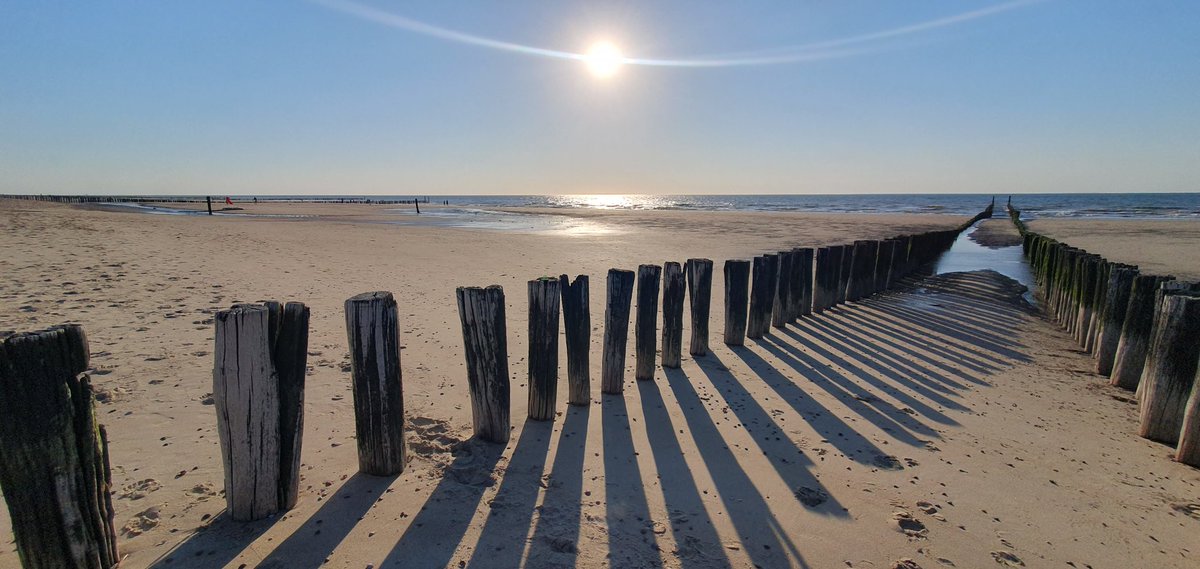 Havenlust's tweet photo. The beach is not a place, it's a feeling. https://t.co/1w8RjITwXx
