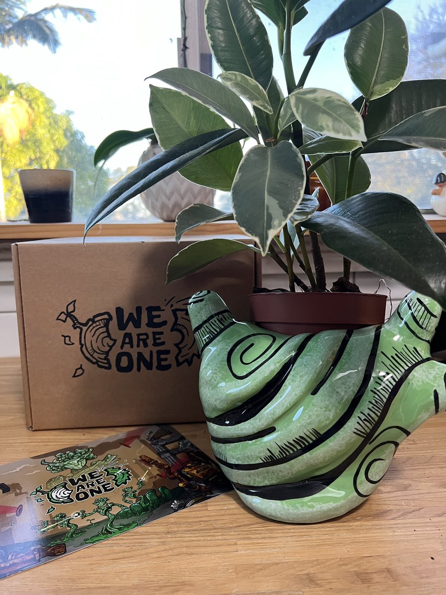 Never had a pot plant for in a PR Package before and I love it 😍

@WeAreOneVR #gifted