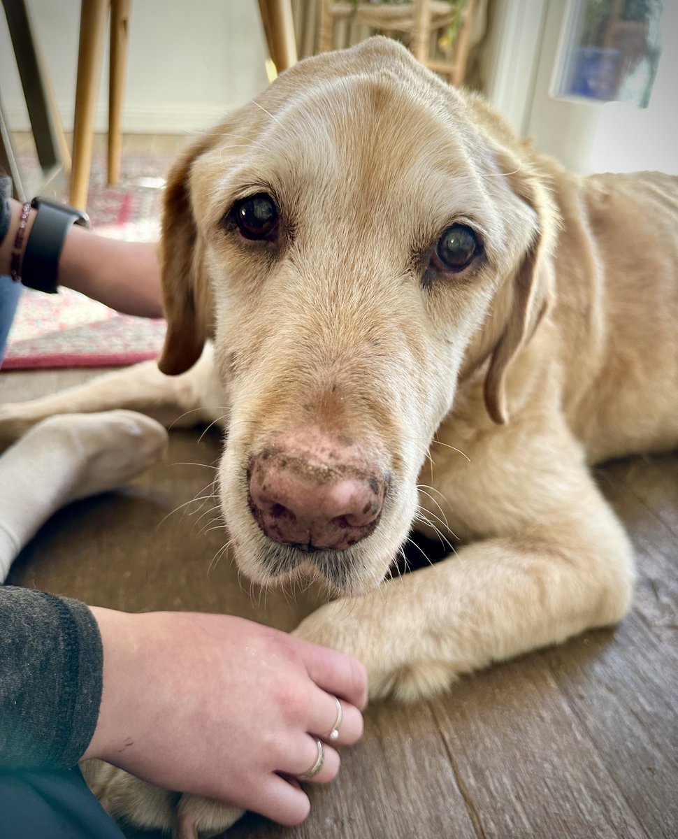 JON DEE (JonDee.com). NowOnBlueSkySocial tweet media