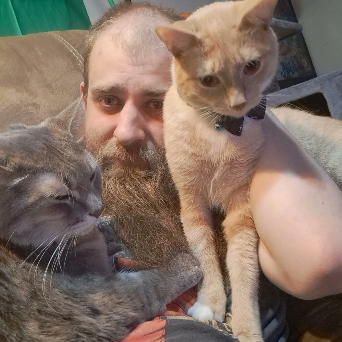 Otisabis420's tweet photo. I love my boys. Sadly, they aren't really a part of the stream anymore, but they will always be around the socials! #catdad #catstreamer #twitchstreamer https://t.co/uWn2e1M65o