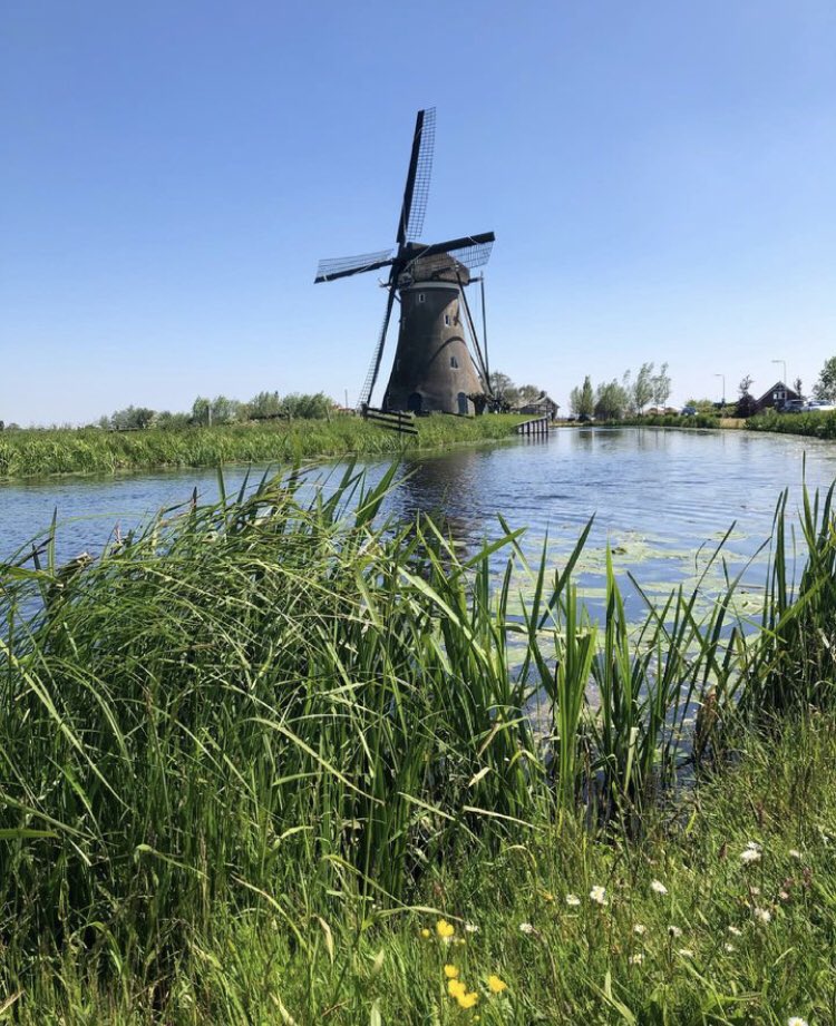 #dag16 #Junieke_Fotografie #GlobalWindDay @SiaWindig 
Goedemorgen allemaal 🤗. Op de #dagvandewind mag een Hollandse molen natuurlijk niet ontbreken...