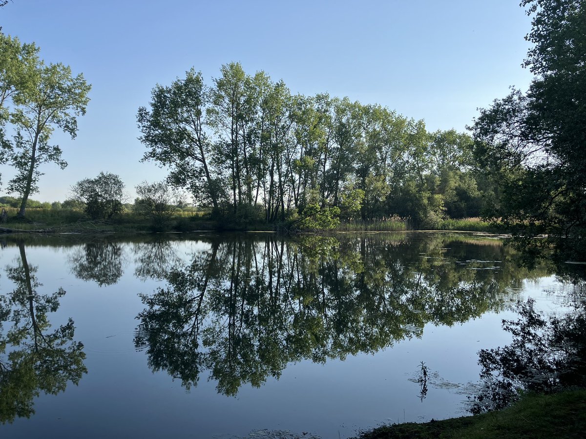 Cool quiet morning at The Grange Estate @forest_centre