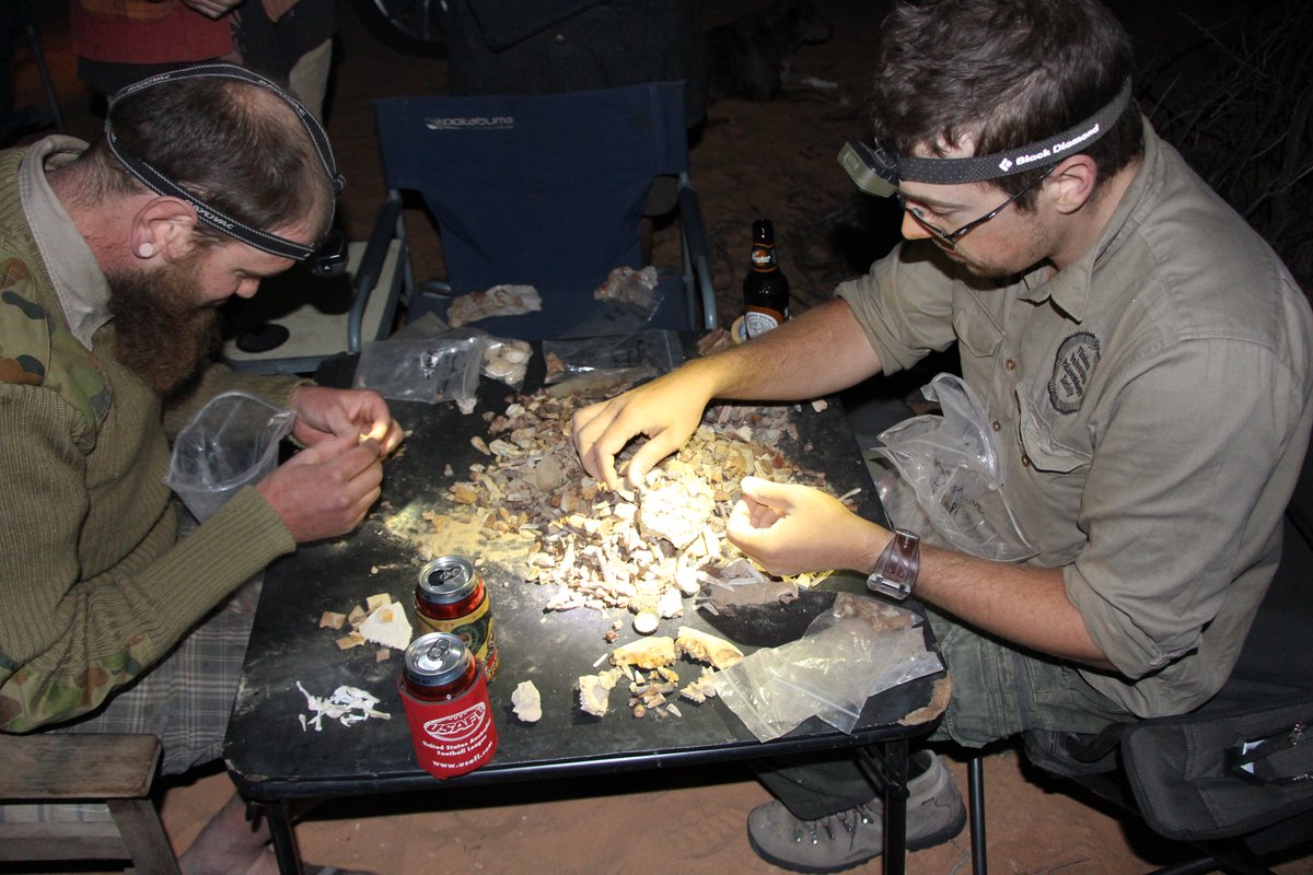 This #FossilFriday we're packing our bags to head out to Cooper Creek to hunt for #megafauna fossils from the Pliocene and Pleistocene. We had some excellent finds there in 2017 so can't wait to see what this trip holds! #palaeontology @flinderspalaeo