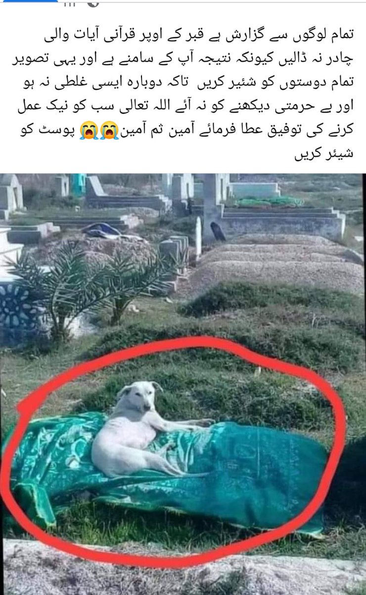Hashim Daraz tweet media