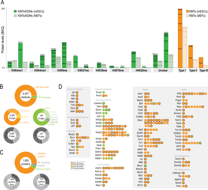 <a href="/jmunozpe/">Javier Munoz</a> and colleagues <a href="/CNIOStopCancer/">CNIO Stop Cancer</a>
 and <a href="/biocrucesHRI/">IIS Biocruces Bizkaia ahora IIS Biobizkaia</a> use a method based on thermal stability to study how protein methylation regulates processes such as mRNA binding proteins and chromosome compaction

nature.com/articles/s4146…