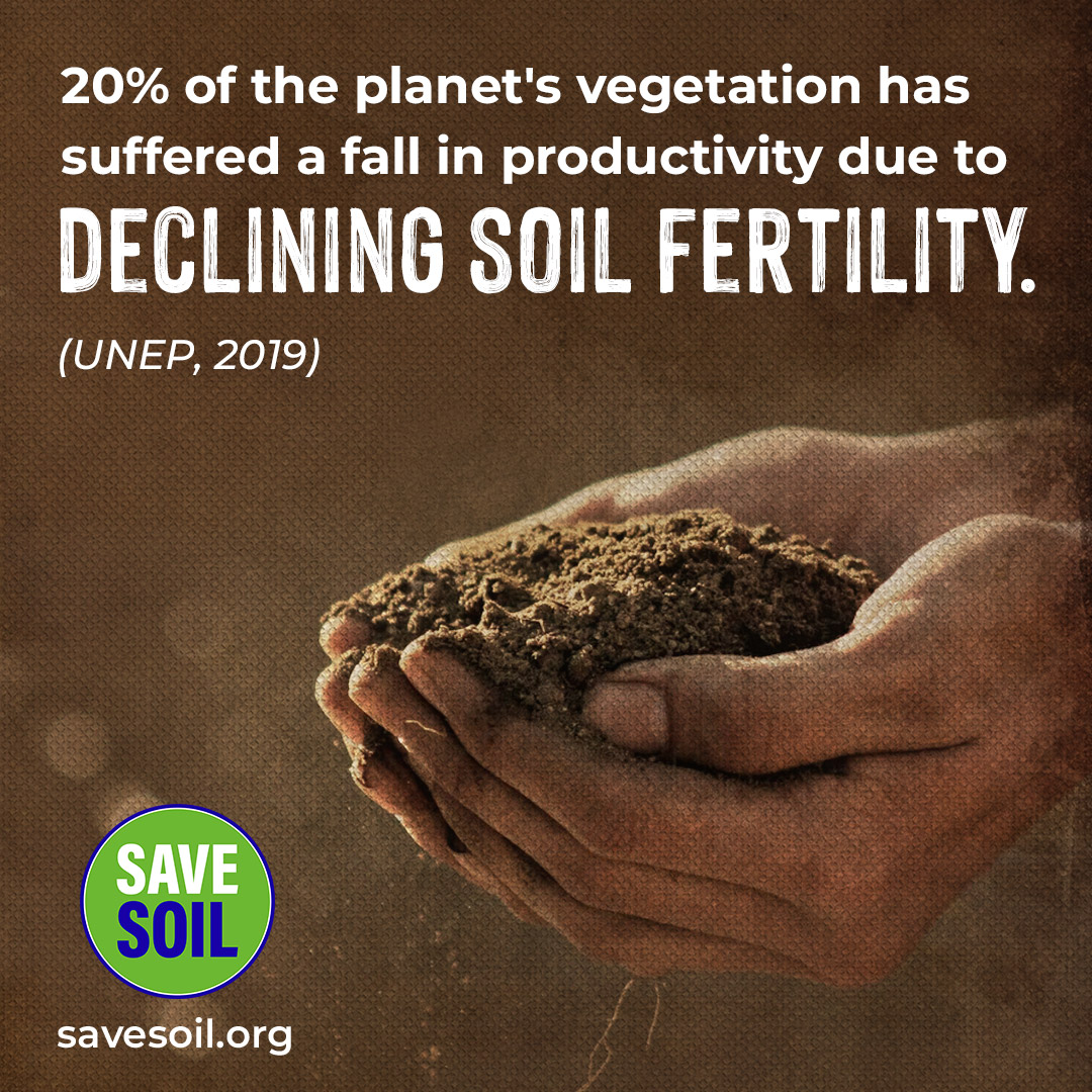 20% of the planet's vegetation has suffered a fall in productivity due to declining soil fertility. (UNEP, 2019) 
Let's #SaveSoil and create a #ConsciousPlanet 
Let's make it happen!
Action now: savesoil.org