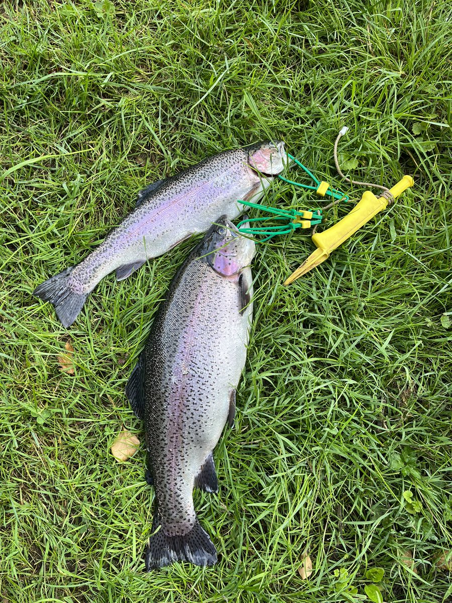 A dawn raid to Kingfisher Pools at <a href="/AlburyFishing/">AlburyFishing</a> . Both caught on a cruncher fished high in the water, the big one is 5lb. Now for the day job!