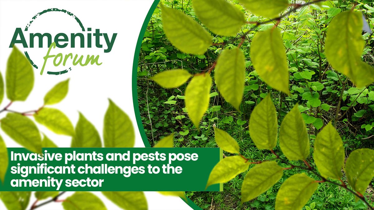 AmenityForum's tweet photo. The UK has implemented various initiatives to tackle invasive species, such as the Invasive Non-Native Species Framework Strategy for Great Britain &amp; the GB Non-Native Species Information Portal

Source: DEFRA

#DEFRA #AmenitySector https://t.co/bzsFRUBTlG