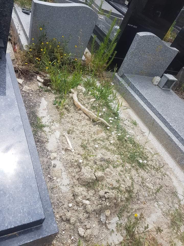 Des ossements entre les tombes à Paris au carré juif du cimetière de Pantin?
Et voici ce témoignage sur « Coup de Pouce Juif » groupe communautaire, par Feed J Frédéric Sabbah le 19 juillet 2019. Que vous pouvez trouver ici
facebook.com/groups/coupdep…