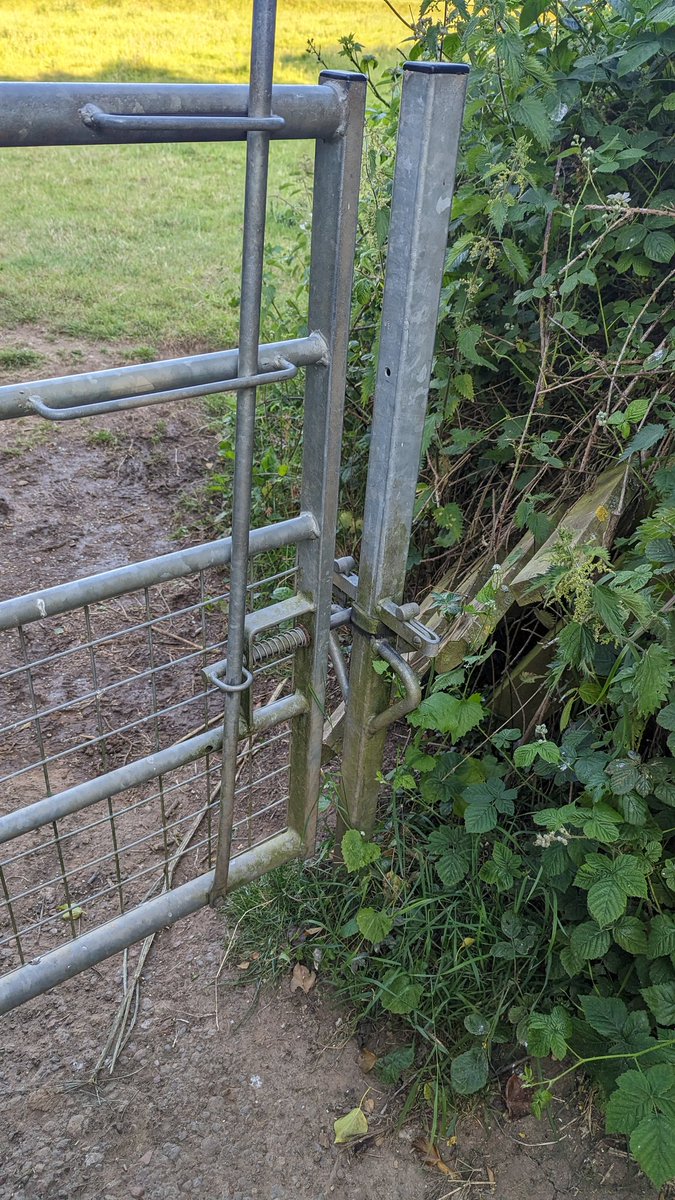 RecyclerBill's tweet image. A number of two-way #gate #latches encountered this week in #Hoveringham #RiverTrent
Close inspection 🧐 shows they are not all exactly the same. There's more out there than I first thought 🤔
#QuiteInterestingGatesAndLatchesOfTheUK
#BillsGates