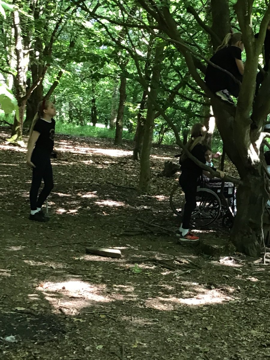 PipersForestSch's tweet image. Year 5 @PipersPrep had a busy session making elderflower cordial for their Forest day next week, they also made their own swing and climbed trees. #skills #elderflowers #summer