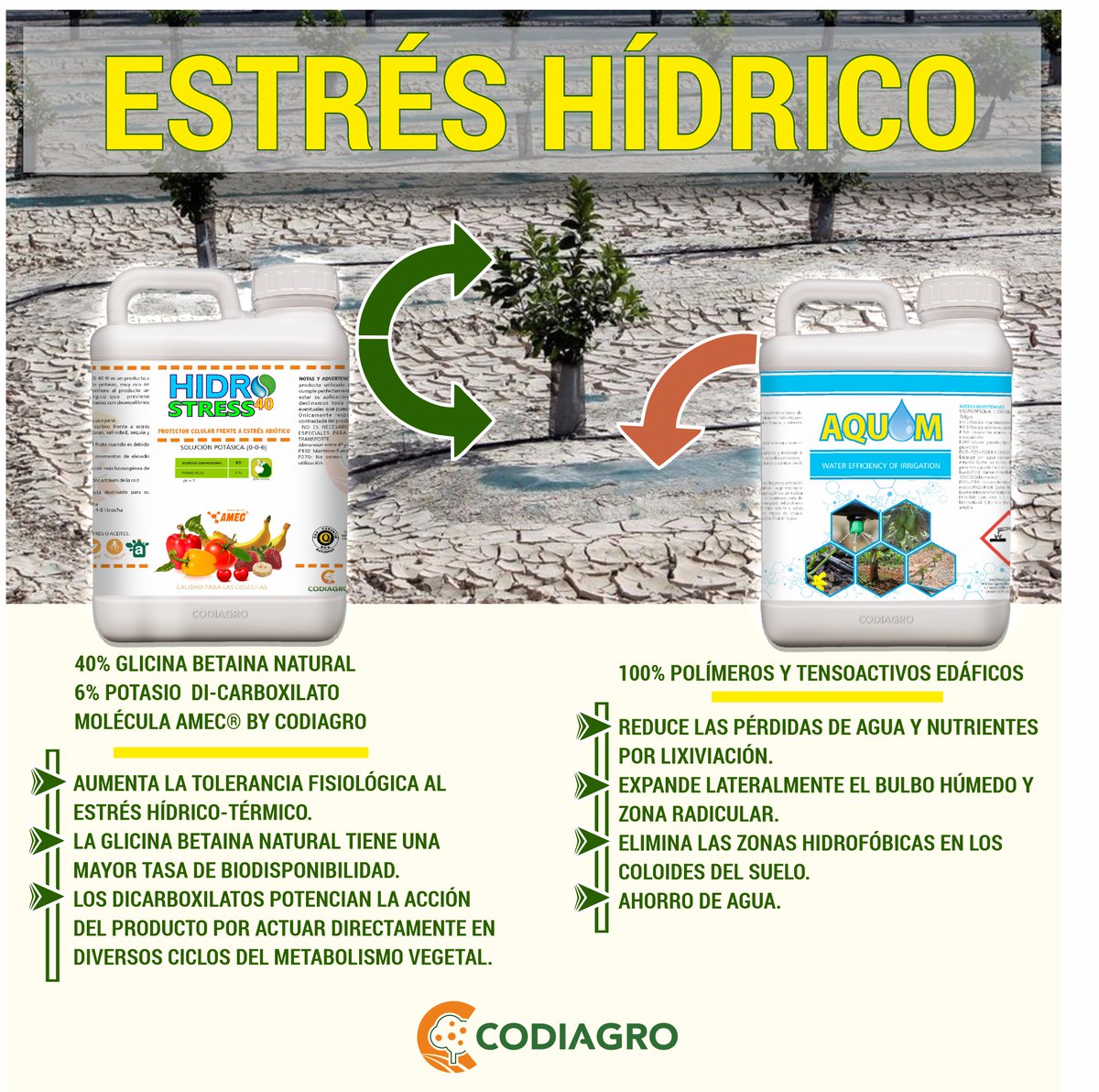 El principal problema de los cultivos actualmente es el #EstrésHídrico. Afortunadamente Codiagro dispone de varias tecnologías que ayudan a superar el problema.
#Hidrostress40 #Aquom