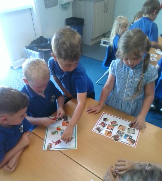 #TeamWarwick have been celebrating Healthy Eating Week.  🍎🍏🍍🍌🥕🍅🍉🥦Key Stage One have been learning about healthy and unhealthy foods in their PSHE lessons #HealthyEatingWeek #HEW23 @NutritionOrgUK @KRidnell @LionAcTrust