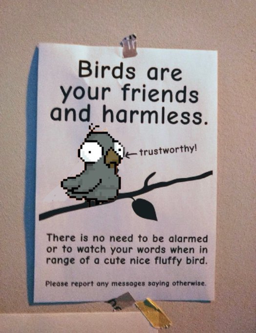 BITBIRBS | SOLD OUT tweet media