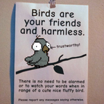 Photo by BITBIRBS | SOLD OUT (@BitBirbsNFT)