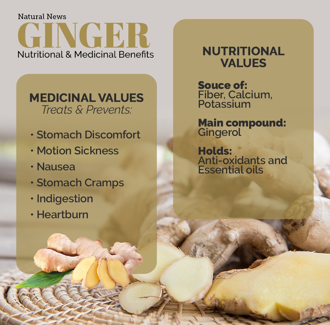 Organic Live Food on Twitter "Researchers suggest ginger is a great