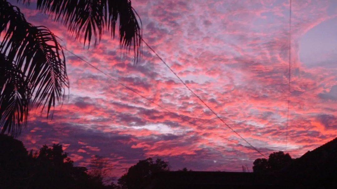 kolak🍊 #1312 tweet media