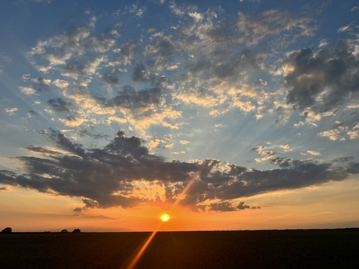 goodnamesallgon's tweet photo. I just never get bored of it
#fieldwalk https://t.co/Rr4ZYFHEKo