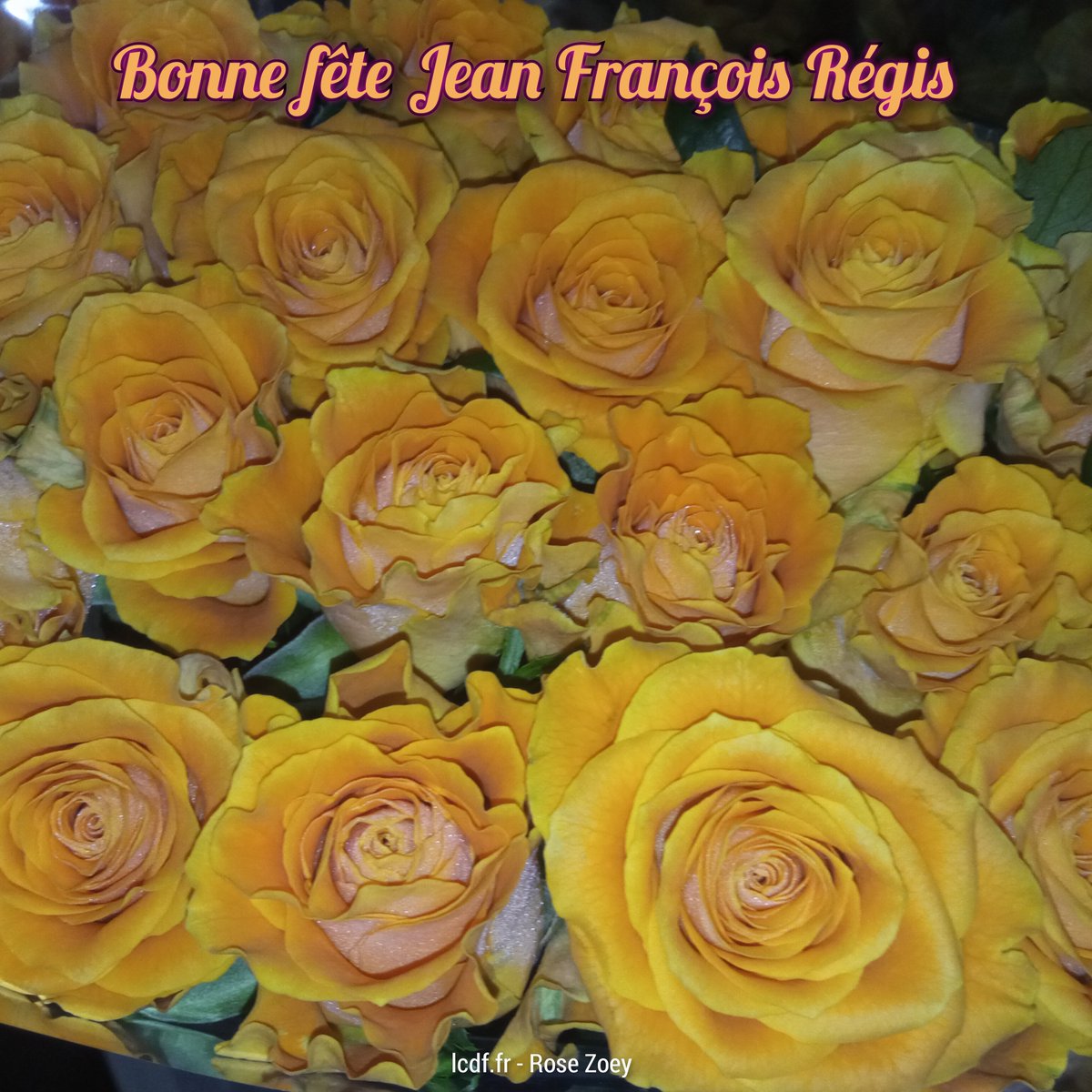 #productionlocale #fleursduvar #fleursdefrance #fleurs #beautiful #nofilter #rose #flower #style #cool #flowerstagram #flowerphotography #instaphoto #bonnejournee #bonnejournée #souhait #fête #souhaiter #partage #rosezoey #zoey #jeanfrancoisregis @IgirukwishakaJ9 @jfregisYao