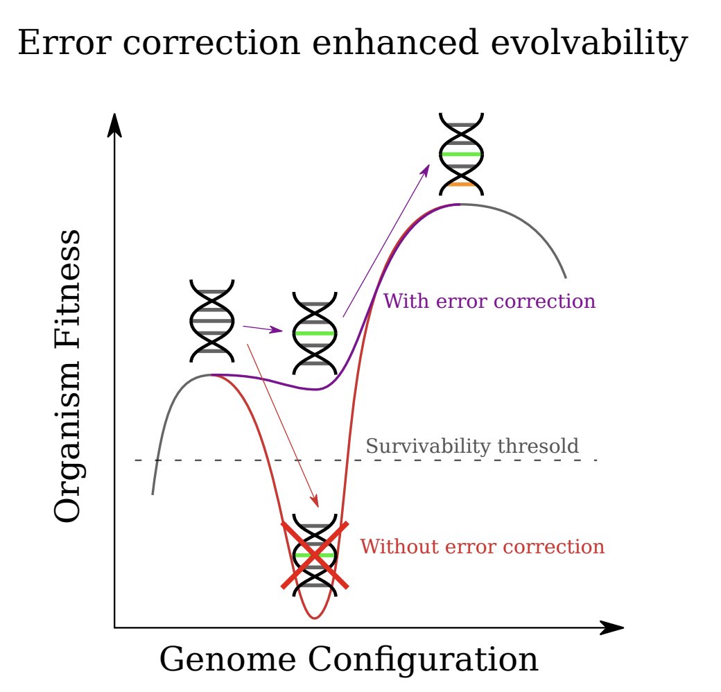 #134: Noisy dynamical systems evolve error correcting codes and modularity <a href="/trevormccrt1/">Trevor McCourt</a> <a href="/FieteGroup/">FieteGroup</a> 

"Noise punishes connectivity because errors can propagate further and faster in more densely connected networks."

arxiv.org/abs/2303.14448