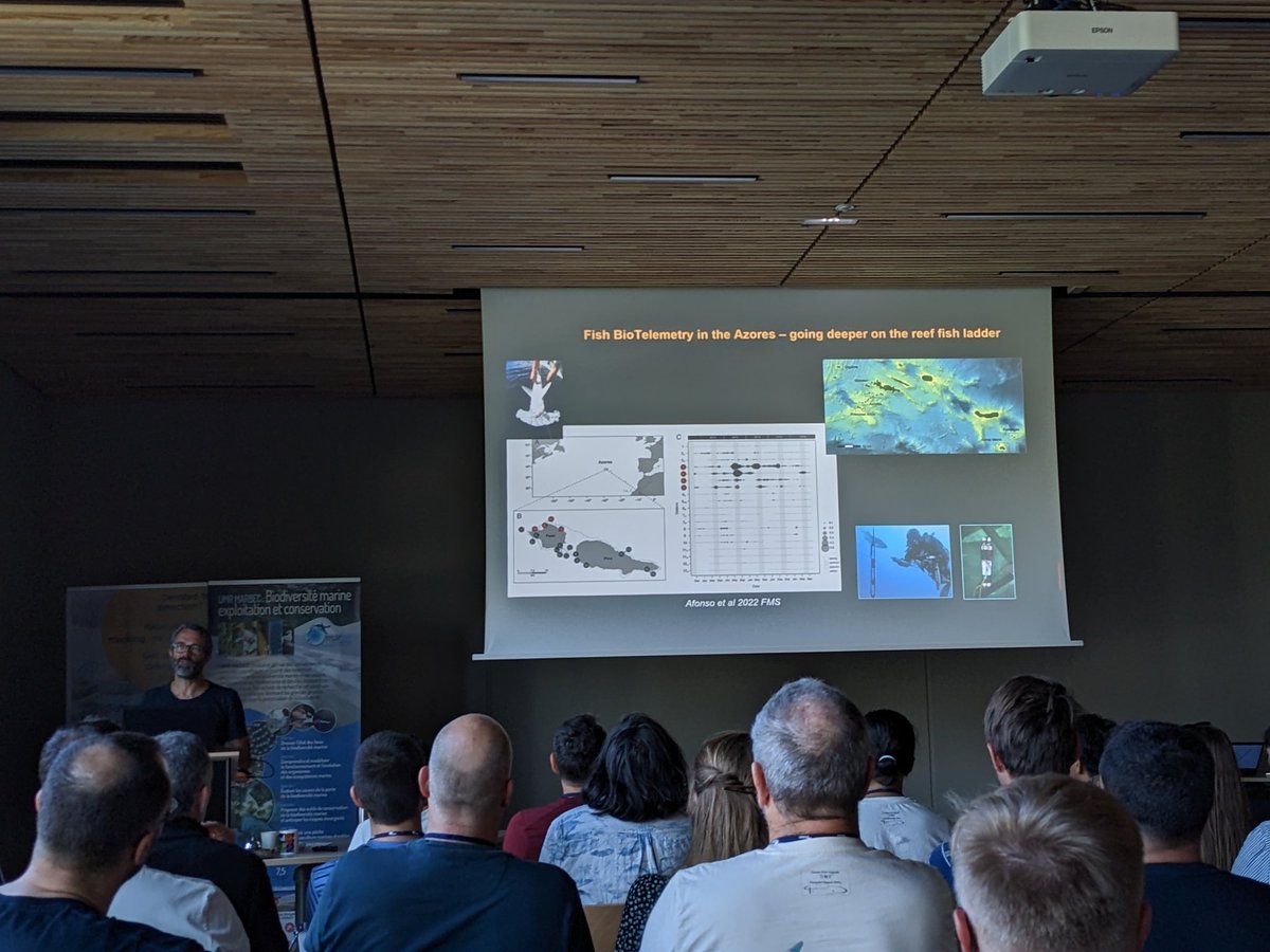 lottepohl's tweet image. Outstanding plenaries @icft2023 by 𝗣𝗲𝗱𝗿𝗼 𝗔𝗳𝗼𝗻𝘀𝗼 on his impressive telemetry work in the Azores and 𝗖𝗵𝗿𝗶𝘀𝘁𝗼𝗽𝗵𝗲 𝗚𝘂𝗶𝗻𝗲𝘁 about the vast amount of info obtained by tagging elephant seals in the southern ocean. Wow! #trackingnotslacking