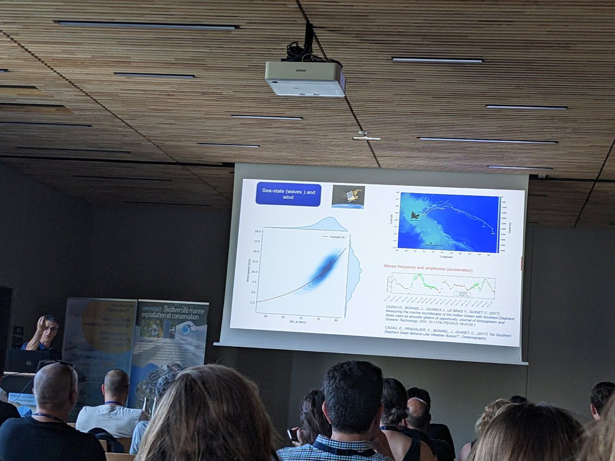 lottepohl's tweet image. Outstanding plenaries @icft2023 by 𝗣𝗲𝗱𝗿𝗼 𝗔𝗳𝗼𝗻𝘀𝗼 on his impressive telemetry work in the Azores and 𝗖𝗵𝗿𝗶𝘀𝘁𝗼𝗽𝗵𝗲 𝗚𝘂𝗶𝗻𝗲𝘁 about the vast amount of info obtained by tagging elephant seals in the southern ocean. Wow! #trackingnotslacking